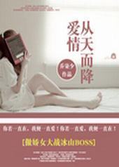 爱情从天而降封面