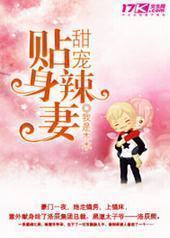 甜宠贴身辣妻封面