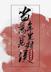 当年万里觅封侯封面