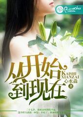 从开始到现在封面