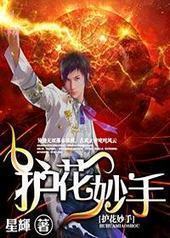护花妙手封面