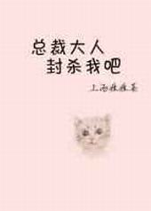 总裁大人封杀我吧封面