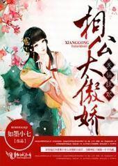 天纵狂妃，相公太傲娇封面