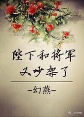 陛下和将军又吵架了封面
