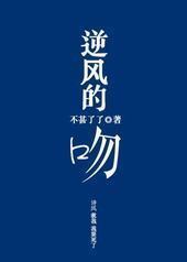 逆风的吻封面