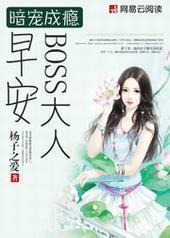 񫣺簲BOSS˷