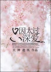 只因太过深爱封面