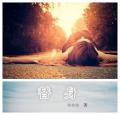 替身封面