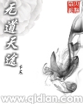 无道天途封面
