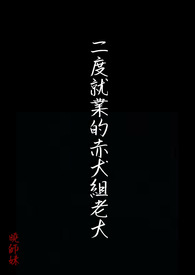 二度就业的赤犬组老大封面
