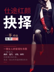 仕途红颜:抉择封面