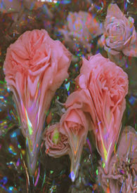 ǿƷ