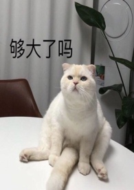 ˮһط