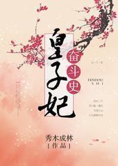 皇子妃奋斗史封面