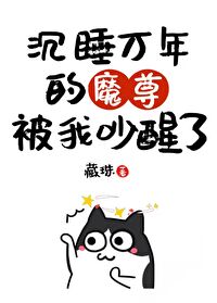 ҰħͷƱ˷