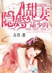 陆少的隐婚甜妻封面