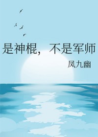 ����������Ǿ�ʦ����