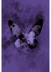 ����֮��(np������