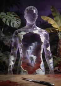 �ŵ�Ů����