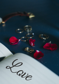 �����Σ���ƪ��������