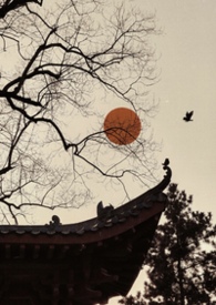 ȸ�����ǿƣ�����