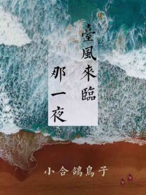 ̨��������һҹ����