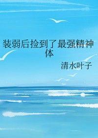 װ���������ǿ���������