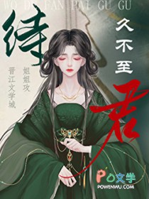 �����ò�������