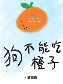 �����ܳԳ��ӷ���