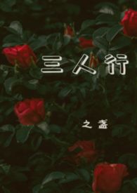 ������(1V2)����