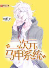 次元马甲系统封面