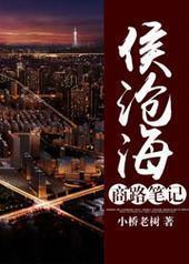 侯沧海商路笔记封面