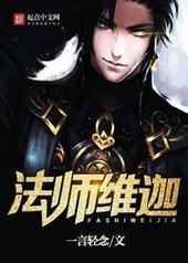 法师维迦封面