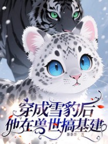 ����ѩ���������������������