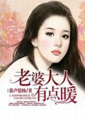 老婆大人有点暖封面