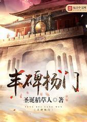 丰碑杨门封面