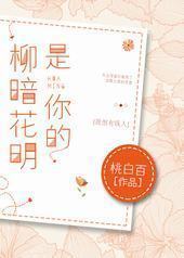 是你的柳暗花明封面