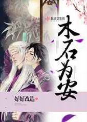 木石为安封面