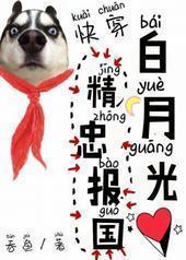 白月光精忠报国[快穿]封面