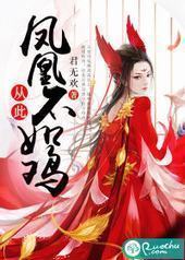 从此凤凰不如鸡封面