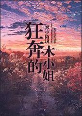 狂奔的木小姐封面