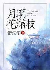 月明花满枝封面
