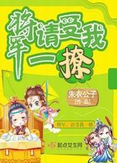 将军，请受我一撩封面