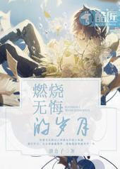 燃烧无悔的岁月封面
