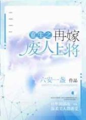 重生之再嫁末路上将封面
