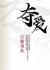 夺爱封面