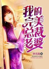 我的完美总裁老婆封面