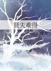贤夫难得 完结+番外封面