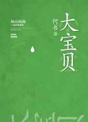 大宝贝封面