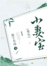 小妻宝[重生]封面
